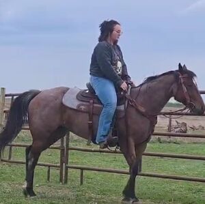 Meet your Posher, Bree